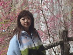 -刘伯温故里景区百丈漈