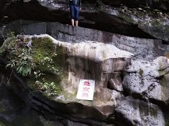 -黑河国家森林公园