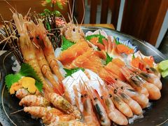 -左舞日本料理