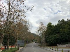 -中旅阿那亚九龙湖·公主酒店