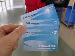 -龙阳路磁悬浮列车总站-停车场