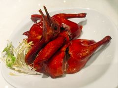 玻璃脆皮乳鸽皇-新雅粤菜馆(南京东路店)