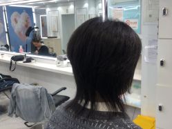 点击看大图 -镁连社·美联社