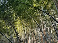 -敬亭山风景名胜区