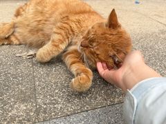 -浙江大学(玉泉校区)