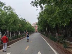 -天津霍元甲学校