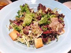 -大树餐厅(益田假日店)