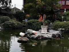 -祝家花園(伯渎港店)