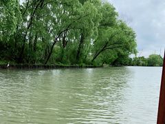 -西溪国家湿地公园