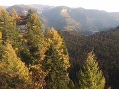 -芦芽山旅游度假区