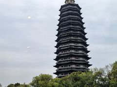 -听松楼·花园酒店·自助餐厅(红梅公园店)