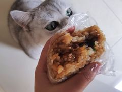 -六广门毛阿姨糯米饭