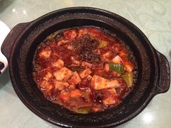 -陈麻婆豆腐总店