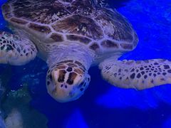 -石家庄极地海洋世界