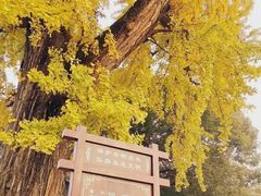 -龙寺生态园
