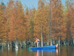 -白鹭湾湿地公园
