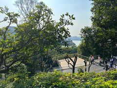 -深圳仙湖植物园
