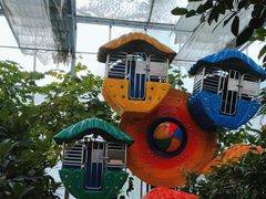 -南宫五洲植物乐园