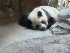 -宁波野生动物园
