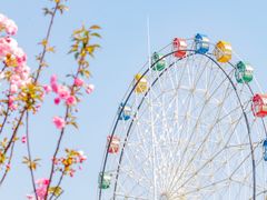-观澜湖旅游度假区