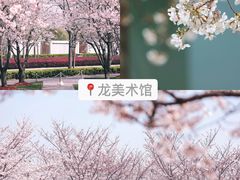 -上海辰山植物园