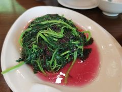 -老苏州茶酒楼