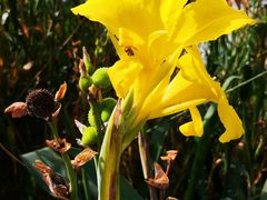 -苏州河梦清园环保主题公园