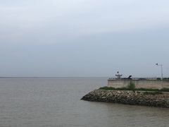 -大湾区中央湿地公园-十九涌
