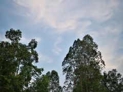 -火炉山森林公园