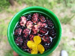 -碓臼峪自然风景区