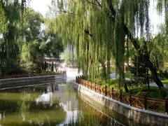 -迎泽公园