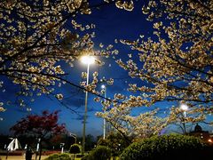 -市民服务中心大楼