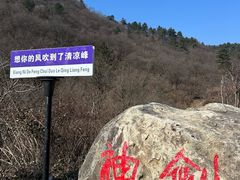 -浙西天池景区
