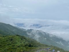 -大围山国家森林公园