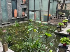 -酒蜻蜓·庭院私房菜(天元东路店)