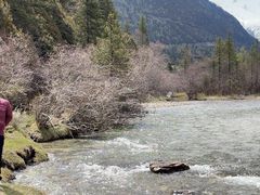 -亚拉雪山风景区