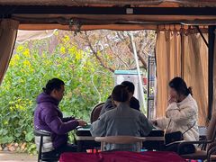 -桃源山庄·水蜜桃采摘·柴火鸡·烧烤团建(龙泉山店)