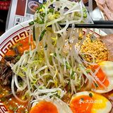 一周也就来吃3 4 5次的拉面店🍜