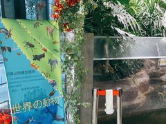 -上海大自然野生昆虫馆(东方明珠·爬宠昆虫探索中心)