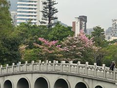 -四海公园(南山区)