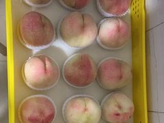 -老袁家蜜桃农场·阳山水蜜桃