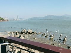 -深圳湾公园(南山区)