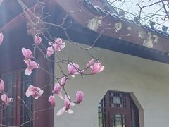 -堤角公园