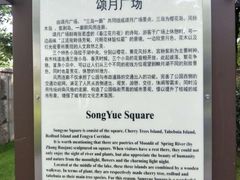 -映月湖公园