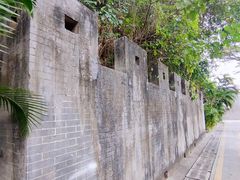 -长洲岛