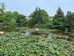 -白马涧龙池景区