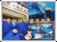-多彩贵州城极地海洋世界