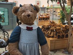 -济州岛泰迪熊博物馆