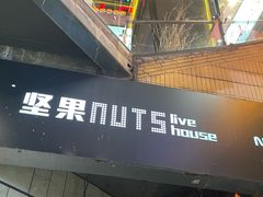 -坚果NUTS