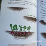 【从田间到餐桌，让孩子认知食物：我的自然观察游戏书】 